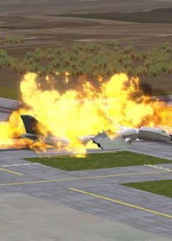 Alternative view of Airport Madness 3D PC (Steam)