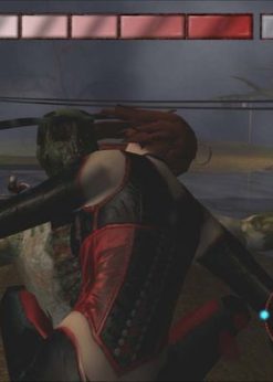 Alternative view of BloodRayne: Terminal Cut PC (Steam)