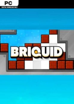 Buy Briquid PC (Steam)
