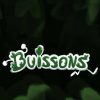 Buy Buissons PC (Steam)