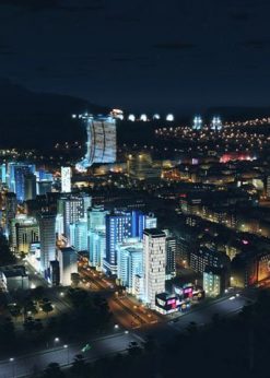 Alternative view of Cities: Skylines After Dark PC (Steam)