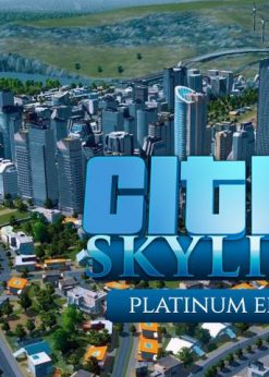 Alternative view of Cities: Skylines Platinum Edition PC (Steam)
