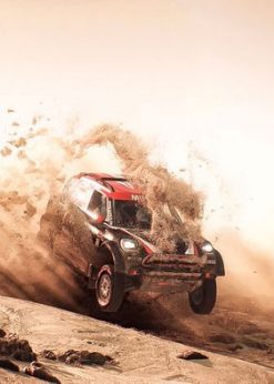 Alternative view of Dakar 18 PC (Steam)
