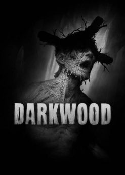 Buy Darkwood PC (Steam)