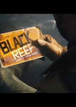 Alternative view of Deathloop PC (Steam)