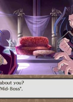 Alternative view of Disgaea PC (Steam)