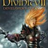 Купить Divinity II: Developer's Cut PC (GOG.com)
