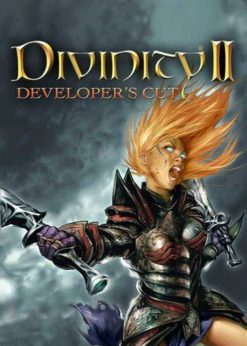 Buy Divinity II: Developer's Cut PC (GOG.com)