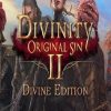 Купить Divinity: Original Sin 2 - Divine Edition PC (GOG) (GOG.com)