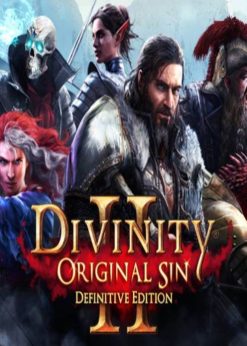 Buy Divinity: Original Sin 2 - Eternal Edition PC (GOG) (GOG.com)