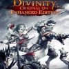 Buy Divinity: Original Sin - Enhanced Edition PC (GOG.com)