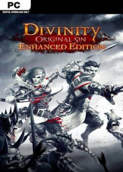 Buy Divinity: Original Sin - Enhanced Edition PC (GOG.com)