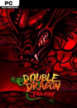 Buy Double Dragon Trilogy PC (Steam)