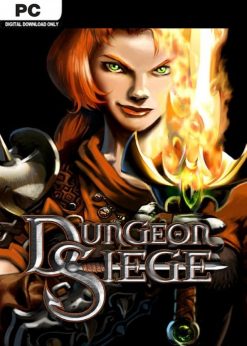 Buy Dungeon Siege  PC (Steam)