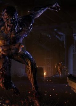 Alternative view of Dying Light: The Following Enhanced Edition PC (Steam)