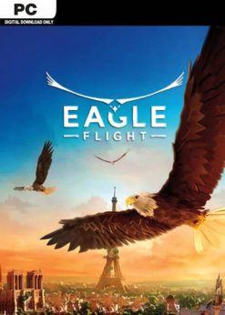 Buy Eagle Flight PC (Steam)