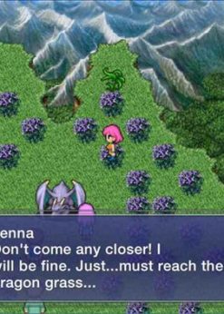 Alternative view of Final Fantasy V PC (Steam)