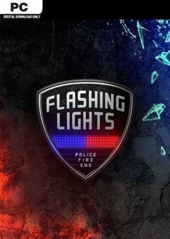 Buy Flashing Lights - Police