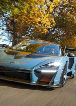 Alternative view of Forza Horizon 4 VIP Pass Xbox One/PC (Xbox Live)