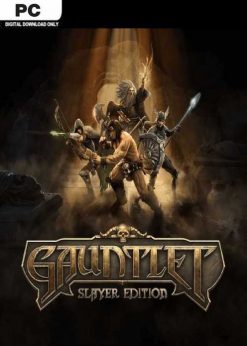 Buy Gauntlet Slayer Edition PC (Steam)
