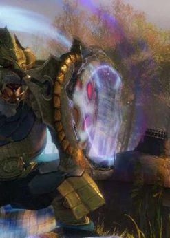 Alternative view of Guild Wars 2 - Heroic Edition PC (ArenaNet)