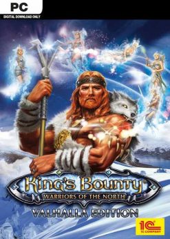 Buy Kings Bounty Warriors of the North Valhalla Edition PC (Steam)