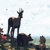 Купить Meadow PC (Steam)