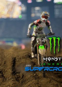 Alternative view of Monster Energy Supercross - The Official Videogame 3 PC (Steam)