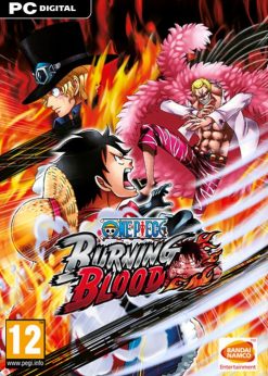 Buy One Piece Burning Blood PC (Steam)