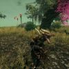 Outward PC (Steam)