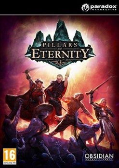 Купить Pillars of Eternity - Hero Edition PC (Steam)