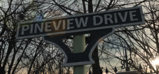 Buy Pineview Drive PC (Steam)