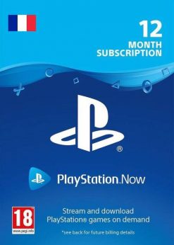 Buy PlayStation Now - 12 Month Subscription (France) (PlayStation Network)
