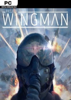 Buy Project Wingman PC (Steam)