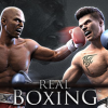 Buy Real Boxing PC (Steam)