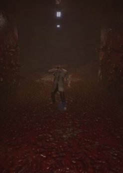 Alternative view of Roots of Insanity PC (Steam)