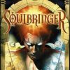 Купить Soulbringer PC (Steam)