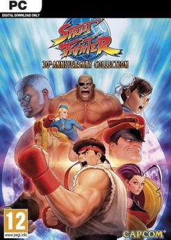 Buy Street Fighter 30th Anniversary Collection PC (Steam)