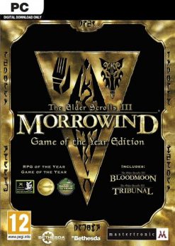 Buy The Elder Scrolls III Morrowind Game of the Year Edition PC (Steam)
