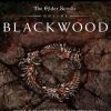 Купить The Elder Scrolls Online: Blackwood Collector's Edition Upgrade PC (The Elder Scrolls Online)