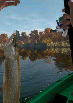 Alternative view of The Fisherman - Fishing Planet PC (Steam)
