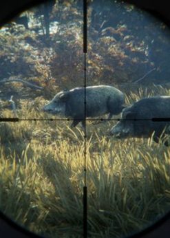 Alternative view of The Hunter Call of the Wild PC (Steam)