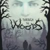 Купить Through the Woods Collectors Edition PC (Steam)