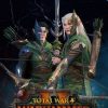 Купить Total War: WARHAMMER II - The Twisted & The Twilight PC - DLC (EU) (Steam)