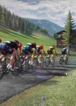 Alternative view of Tour de France 2021 PC (Steam)