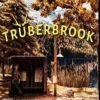 Buy Truberbrook PC (Steam)