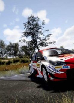Alternative view of WRC 10 FIA World Rally Championship PC (EPIC) (Epic Games Launcher)
