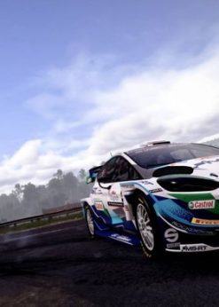 Alternative view of WRC 10 FIA World Rally Championship PC (Steam) (Steam)