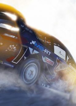 Alternative view of WRC 7 World Rally Championship PC (Steam)