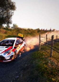 Alternative view of WRC 9 Deluxe Edition FIA World Rally Championship Xbox One (EU) (Xbox Live)